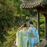 桂花落满肩 · 秋色正当时第6帧/11·竖幅