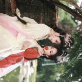 微雨 · 榴花双影 唐制第4帧/13·竖幅