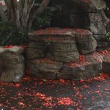 微雨 · 榴花双影 唐制第8帧/13·竖幅