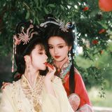 微雨 · 榴花双影 唐制第9帧/13·横幅