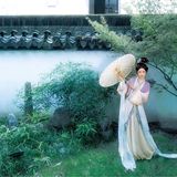 紫气一缕，落在宋人的衣袖上。