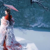雪中鹤 · 一袭红衣照雪林 第2帧