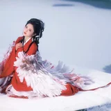 雪中鹤 · 一袭红衣照雪林 第3帧