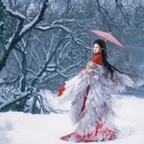 雪中鹤 · 一袭红衣照雪林 第4帧