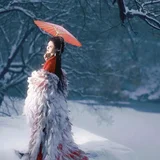 雪中鹤 · 一袭红衣照雪林 第5帧