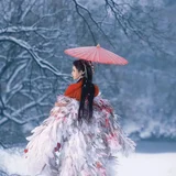 雪中鹤 · 一袭红衣照雪林 第8帧
