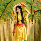 柿柿如意 · 安昌古镇的柿子熟了 第4帧