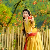 柿柿如意 · 安昌古镇的柿子熟了 第9帧