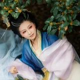 一襟秋意半袖桂香｜桂花树下的汉服少女 第6帧