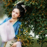 一襟秋意半袖桂香｜桂花树下的汉服少女 第8帧