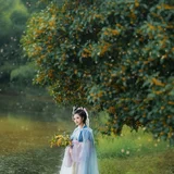 一襟秋意半袖桂香｜桂花树下的汉服少女 第11帧