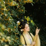 桂满香袖，衣染秋光｜桂树下的黄衫汉服写真 第5帧