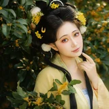 桂满香袖，衣染秋光｜桂树下的黄衫汉服写真 第6帧
