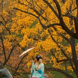 颐和秋序，宋韵仕女｜颐和园汉服写真 第8帧