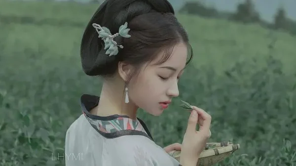 汉服摄影 | 茶语沁