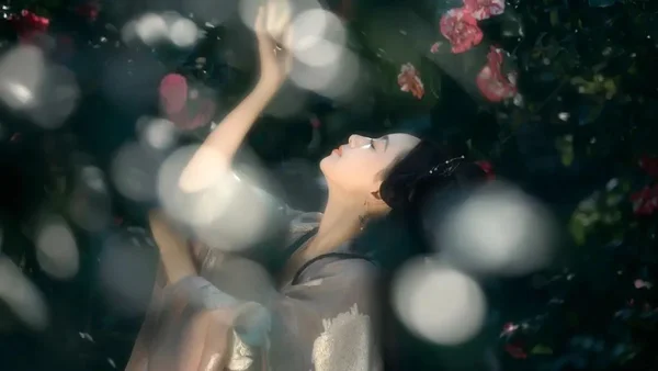 汉服花仙子