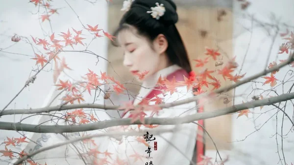 汉服摄影｜记年时