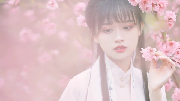 汉服摄影122期｜花仙子