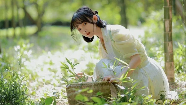 主题｜《竹坞九章》沉浸式汉服图鉴