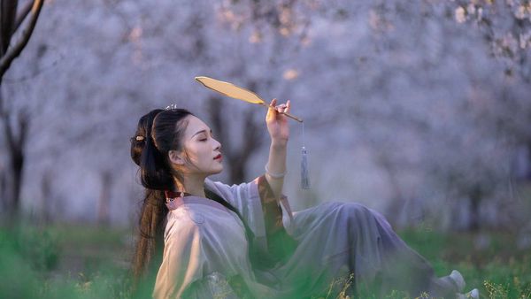 《樱落华裳：汉服春韵图鉴》