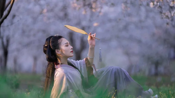 《樱落华裳：汉服春韵图鉴》