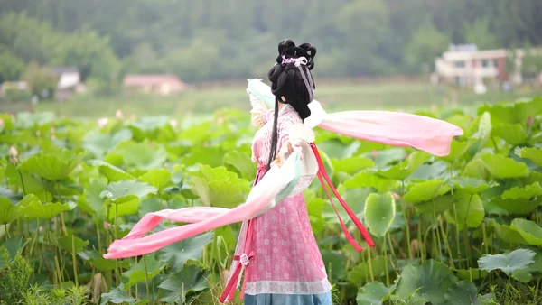 乘风赴荷约