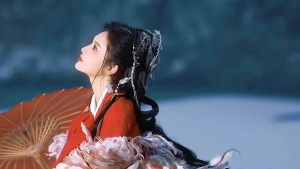 雪中鹤 · 一袭红衣照雪林