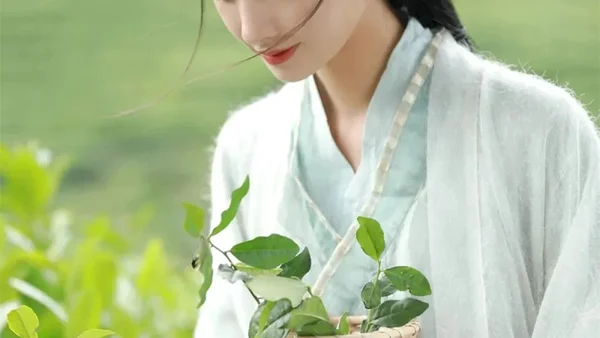 一笔苔痕，落笺静好