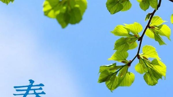 文学诗词 | 春分海燕从南至，日暖江鸿尽北征