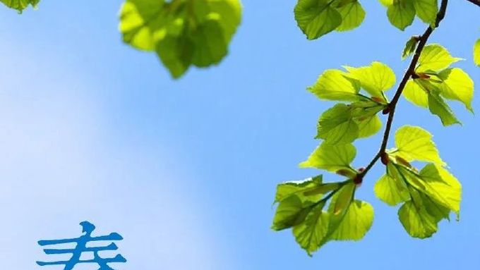 文学诗词 | 春分海燕从南至，日暖江鸿尽北征