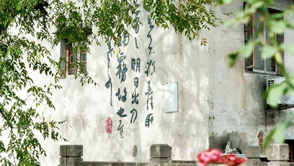 绍兴漫游记：水墨骨相里的江南诗行